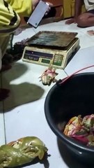 Menimbang hasil mancing kepiting