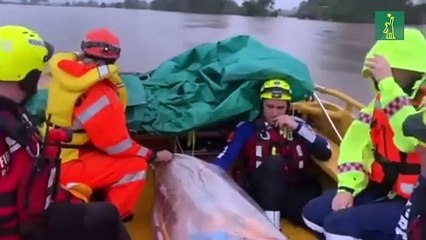 Australia se compromete a cero emisiones para el 2050 sin renunciar al carbón