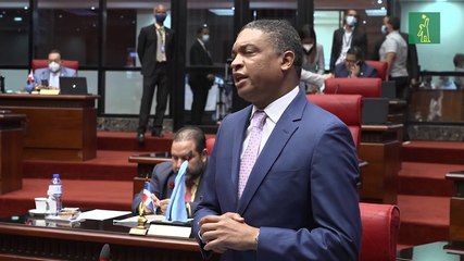 Yván Lorenzo sobre Código Penal: “oro y pido a las hermanas Mirabal para que iluminen a los diputados”