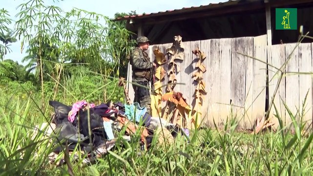 Cientos de años de cárcel para miembros de secta panameña por matanza de indígenas