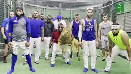 Juego del calamar versión Licey