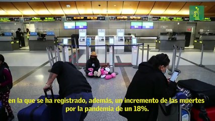 Imágenes del aeropuerto de Los Ángeles tras la cancelación de vuelos en EE.UU debido a la Covid-19