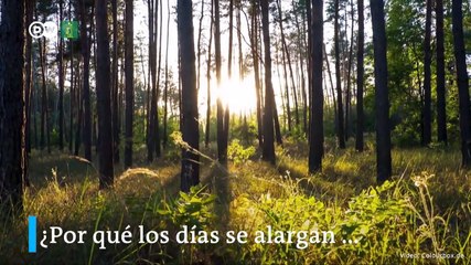 ¿Cuál es el origen de las estaciones?