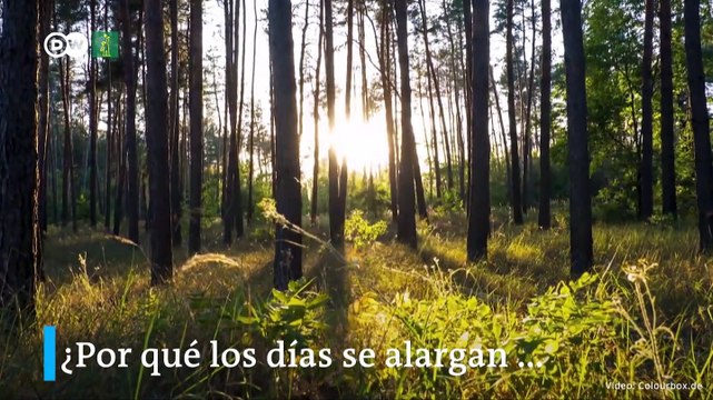 ¿Cuál es el origen de las estaciones?