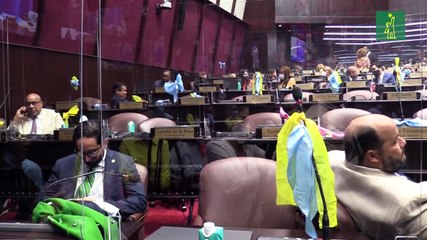 Parlamento de la República Dominicana aplaza hasta el 4 de enero la votación crucial del Código Penal