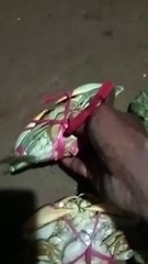 Dapat kepiting 🦀,telor