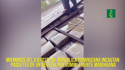 Miembros del Ejército de República Dominicana incautan paquetes de un vegetal presumiblemente marihuanaMArihuana