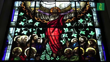 Silencio, impunidad y complicidad en los casos de abuso en la Iglesia latinoamericana