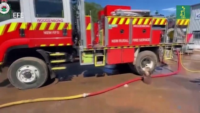 Millones de australianos son obligados a evacuar debido a las inundaciones