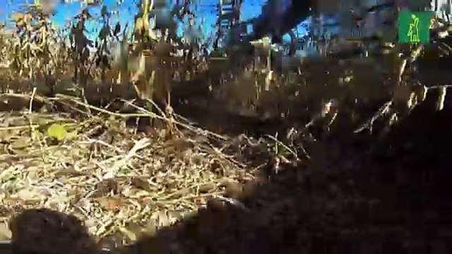 Inflación, el crudo efecto de una guerra lejana que golpea a los latinoamericanos