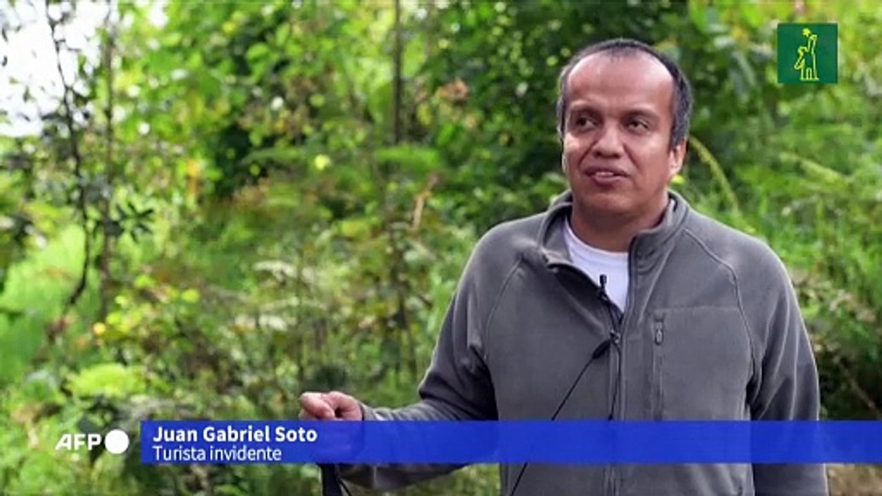 El "avistamiento" de aves para ciegos amplía la inclusión en Colombia