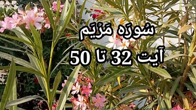 Surah Maryam | Tilawat e Quran | quran pak ki tilawat | quran recitation | bubak learn quran |