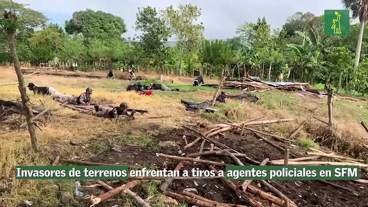 Invasores De Terrenos Enfrentan A Tiros A Agentes Policiales En Sfm