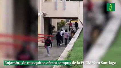 Enjambre de mosquitos afecta campus de la Pucmm en Santiago