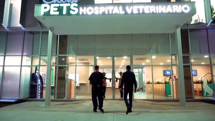 Bukele inaugura hospital veterinario construido con ganancias del bitcóin