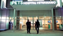 Bukele inaugura hospital veterinario construido con ganancias del bitcóin
