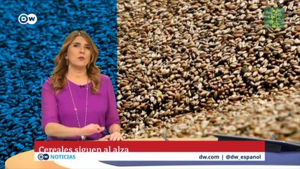 La invasión de Rusia a Ucrania afecta al precio del trigo