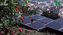 La energía solar se abre camino en las favelas de Río de Janeiro
