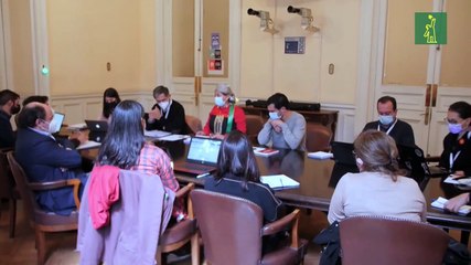 Convención constitucional de Chile: campañas de descrédito y luchas internas