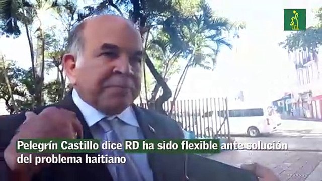 Pelegrín Castillo dice RD ha sido flexible ante solución del problema haitiano