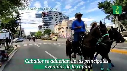 Caballos se adueñan de las principales avenidas de la capital