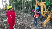 Activistas de Greenpeace protestan para impedir construcción de un tramo del Tren Maya
