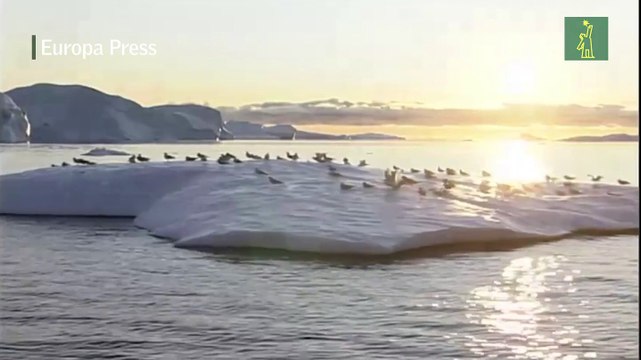 El calentamiento reorganizará ecosistemas marinos de formas inesperadas