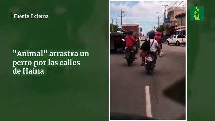 "Animal" arrastra un perro por las calles de Haina