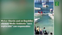 Matan tiburón azul en Bayahibe; afirman Medio Ambiente “será implacable” con responsables