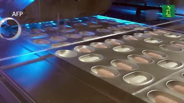 La OMS recomienda el antiviral de Pfizer para el covid-19