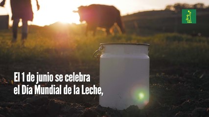 Hoy se celebra el Día Mundial de la Leche