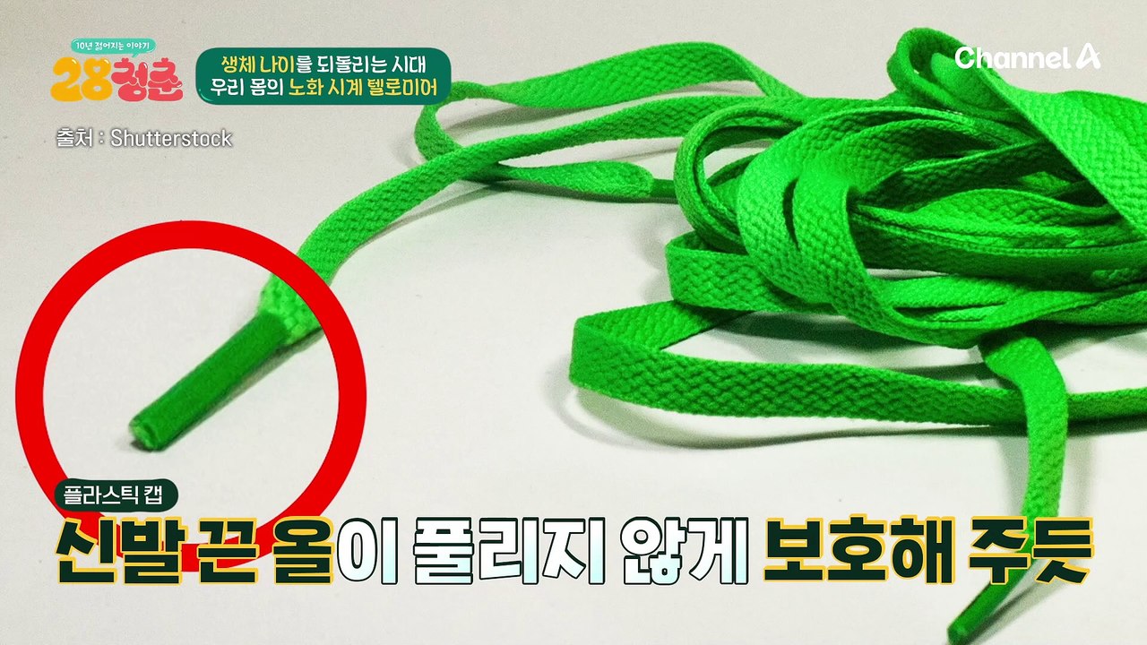 노안은 전신 노화의 시작♨ 텔로미어 길이로 내 노화 정도를 파악할 수 있다?!