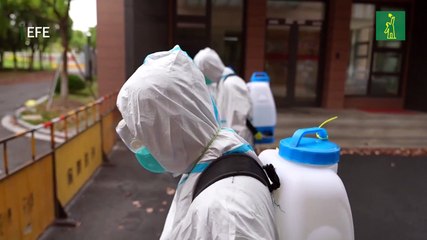 hanghái espera cortar la transmisión comunitaria de covid a mediados de mayo