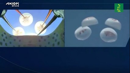 Primera misión privada espacial regresa con éxito a la Tierra