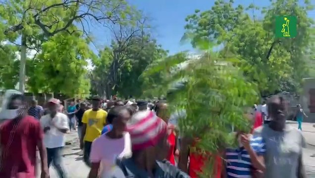 Decenas de haitianos se manifiestan contra la violencia de las bandas en Puerto Príncipe