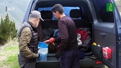 Laboratorio de Venezuela busca salvar a rana única amenazada de extinción