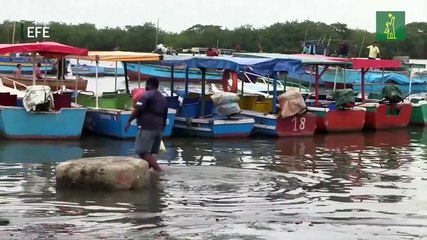 Salud y educación, el sueño lejano de venezolanos entre Perú y Ecuador