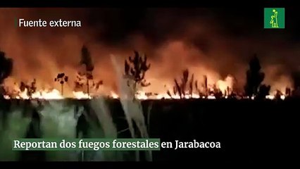 Reportan dos fuegos forestales en Jarabacoa