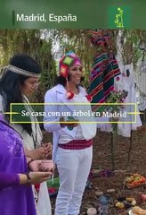 QUE COSAS! - Se casa con un árbol en Madrid