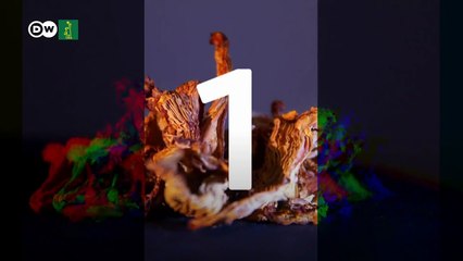 3 alimentos que mantienen el cabello sano