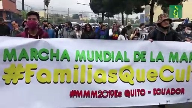 Ecuatorianos piden la legalización total de la marihuana en las calles de Quito