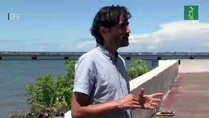 "Escudo", el documental que reivindica el poder de los manglares del Caribe