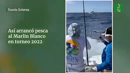 Así arrancó pesca al Marlin Blanco en torneo 2022