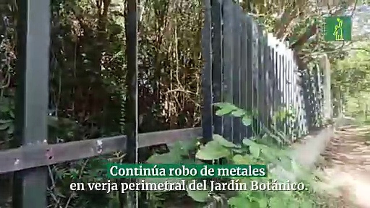 Continúa robo de metales en verja perimetral del Jardín Botánico.