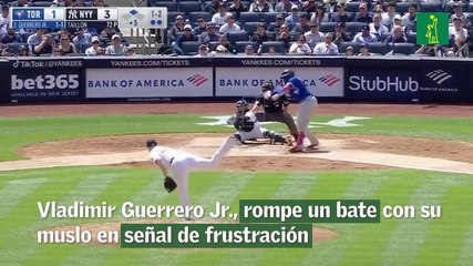 Vladimir Guerrero Jr., rompe un bate con su muslo en señal de frustración