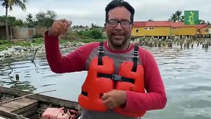 El plástico copa el lago venezolano de Maracaibo, el mayor de A. Latina