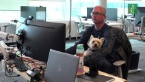 En Canadá, los perros van a trabajar con sus dueños