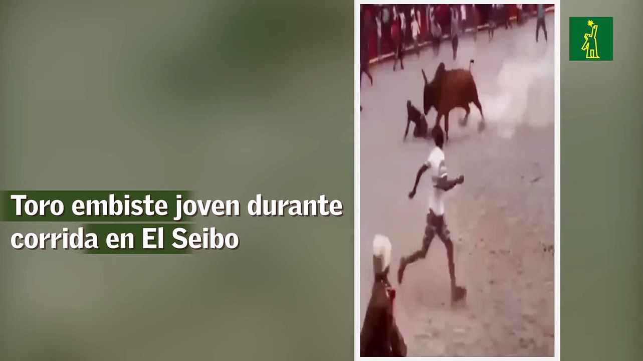 Toro embiste joven durante corrida en El Seibo