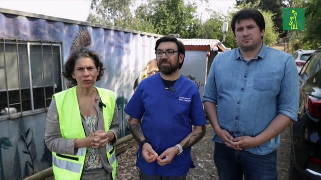 El impacto de los incendios no es solo en los humanos sino en la fauna silvestre