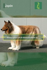 QUE COSAS! - Hombre gasta 15M de dólares en disfraz de perro